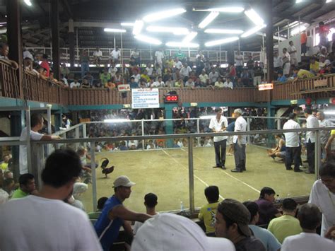 manila arena derby schedule today|Cockfighting Schedule at La Loma or Pasey City cockpit .